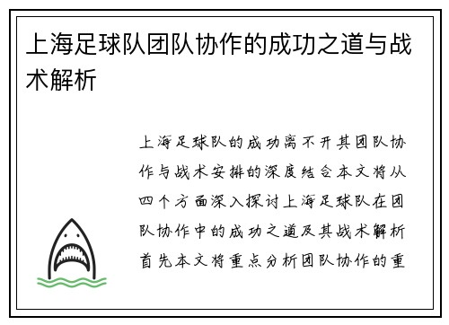 上海足球队团队协作的成功之道与战术解析